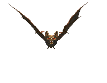 Giant_Bat