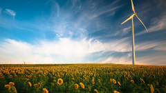 wind_turbine_sunflower_field_4k-1920x1080